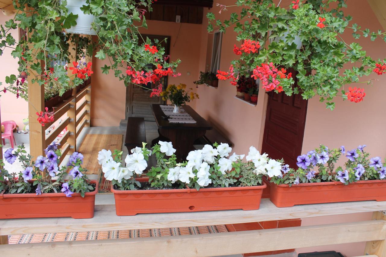Villa Casa Andreia Gura Humorului Esterno foto